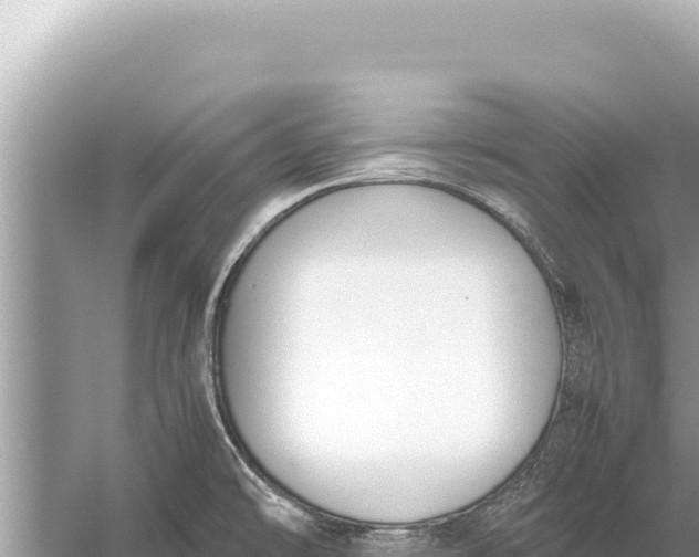 X0000059051478200510211947