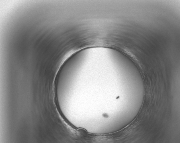 X0000059051479200510211947