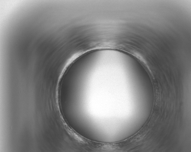 X0000059051480200510211947