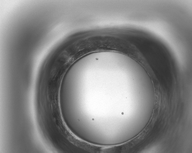 X0000059051487200510211947