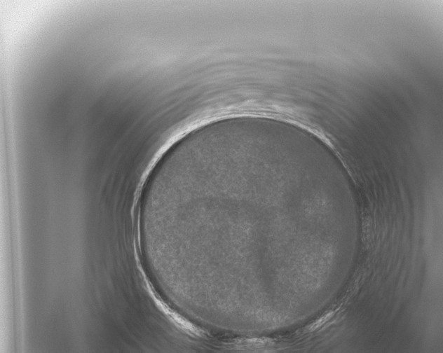 X0000059051515200510211947