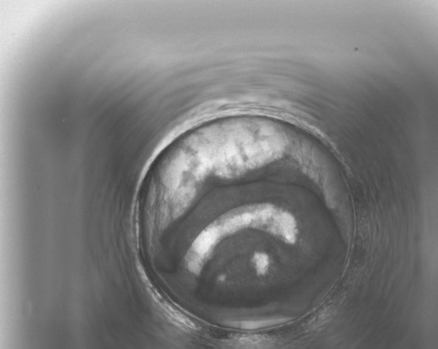 X0000059051522200510211947