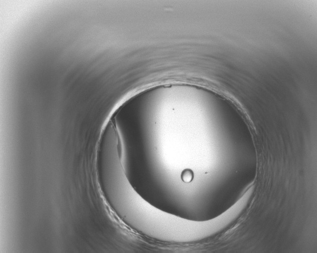 X0000059051530200510211947