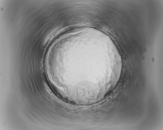 X0000059050002200510281619