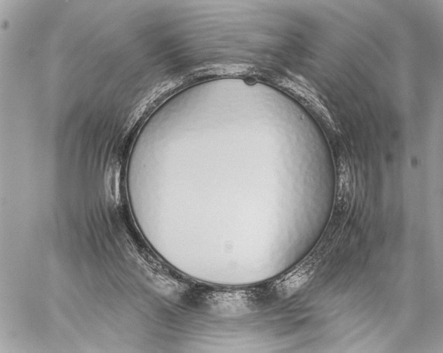 X0000059050110200510281617