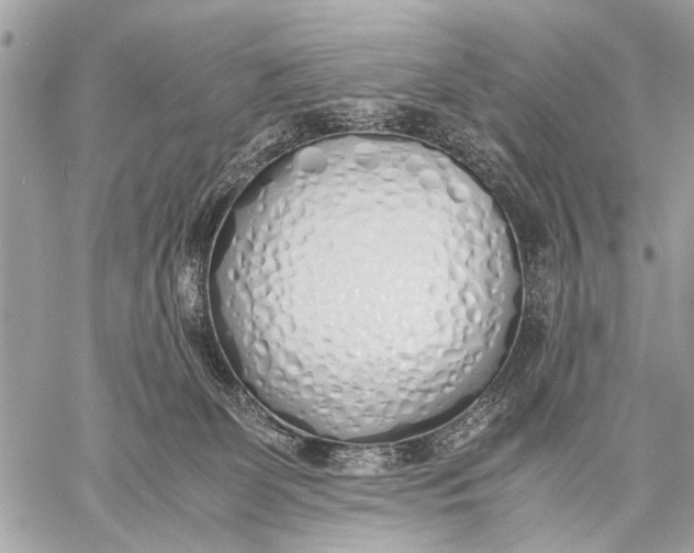 X0000059050131200510281617