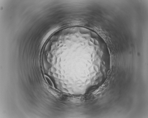 X0000059050147200510281616