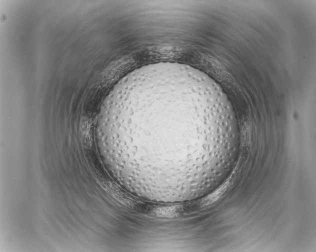 X0000059050178200510281616