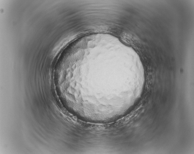 X0000059050194200510281616