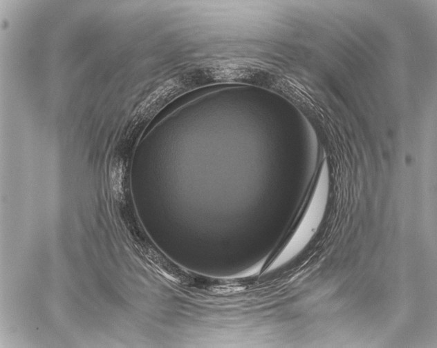X0000059050219200510281615