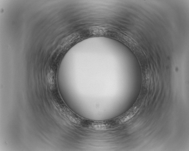 X0000059050228200510281615