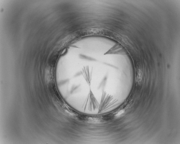 X0000059050236200510281615