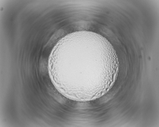 X0000059050240200510281615
