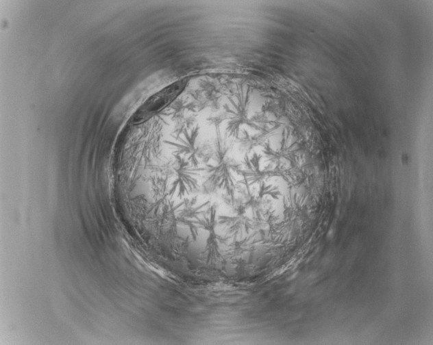 X0000059050290200510281614