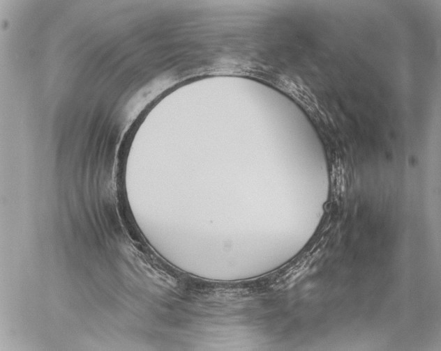 X0000059050292200510281614