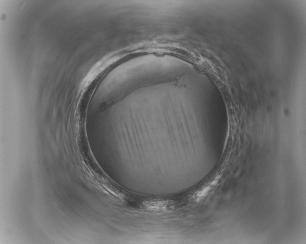 X0000059050295200510281614