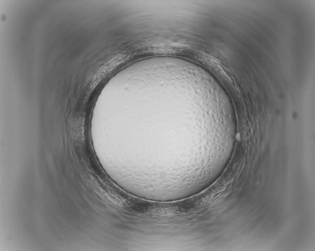 X0000059050299200510281614