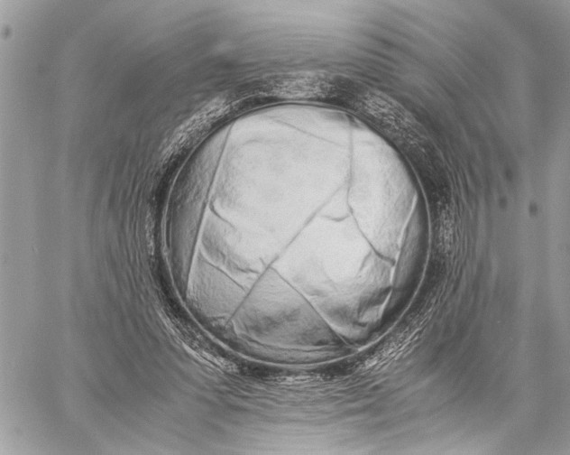 X0000059050303200510281614