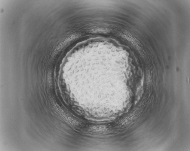 X0000059050353200510281613