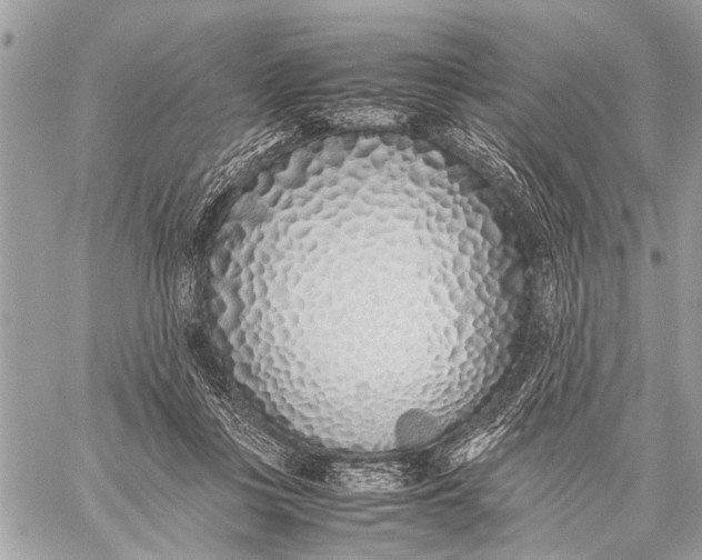 X0000059050359200510281613
