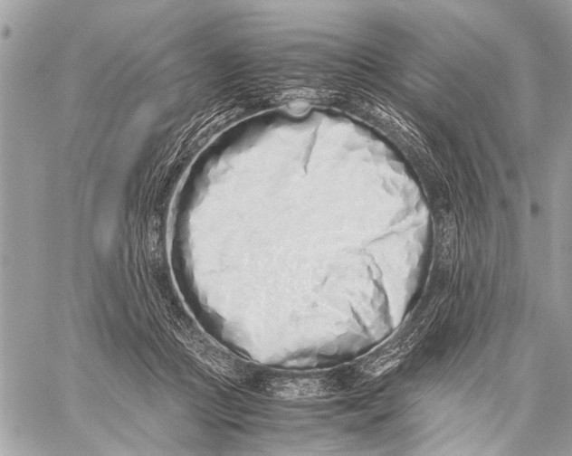 X0000059050361200510281613