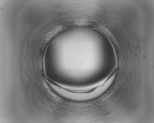 X0000059050393200510281612