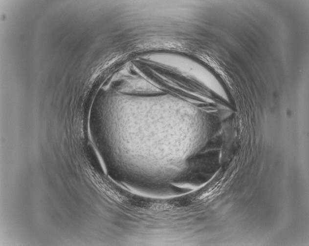 X0000059050399200510281612