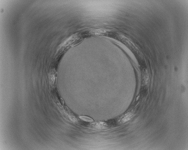 X0000059050427200510281612