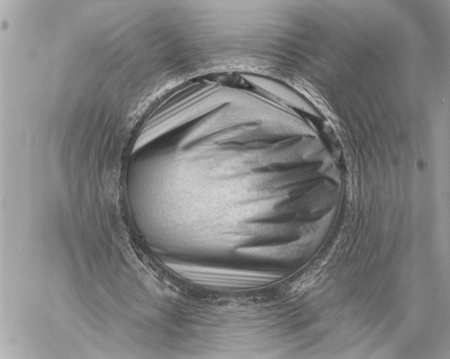 X0000059050434200510281611