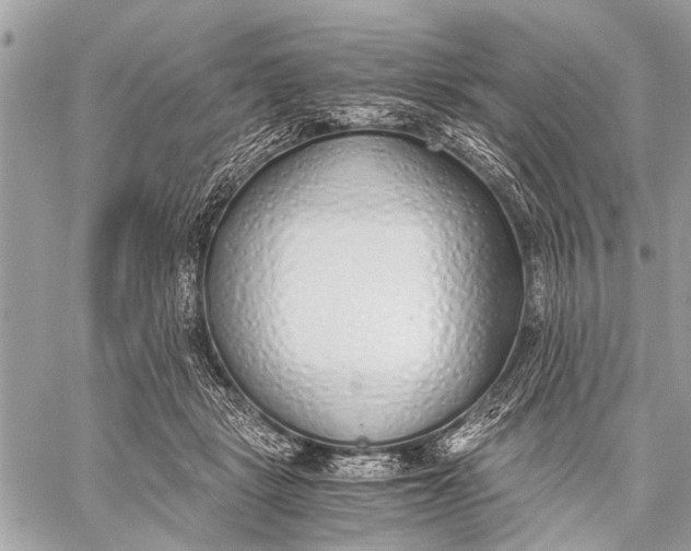 X0000059050461200510281612