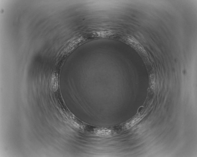 X0000059050471200510281612