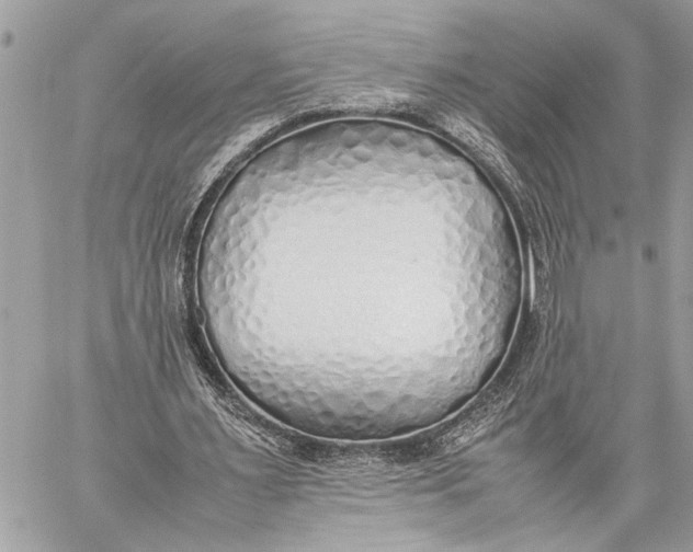 X0000059050483200510281611
