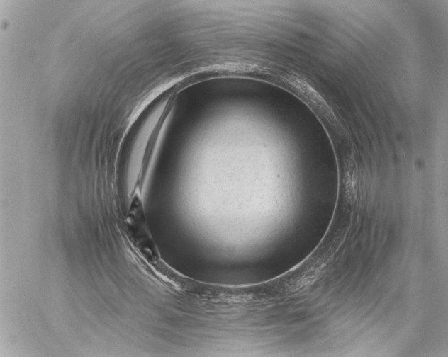 X0000059050484200510281611