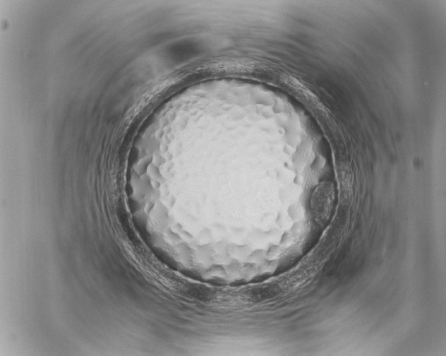 X0000059050487200510281611