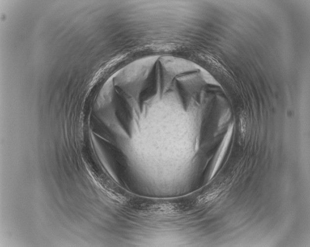 X0000059050492200510281611
