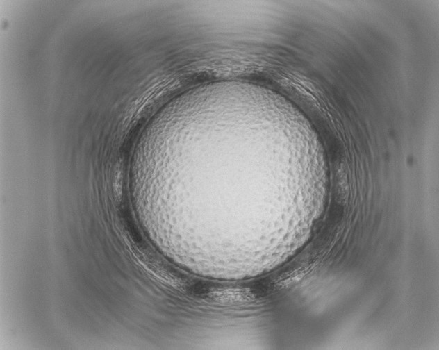 X0000059050499200510281611