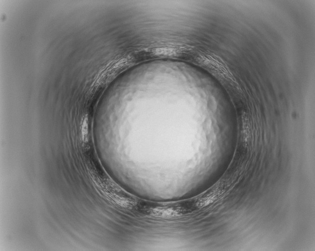 X0000059050502200510281611