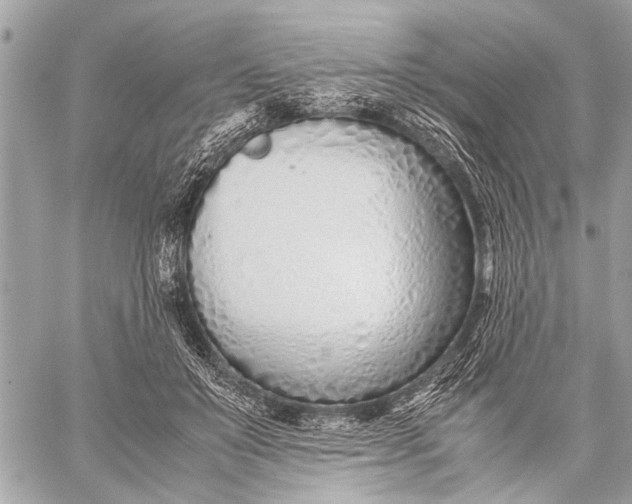 X0000059050503200510281611