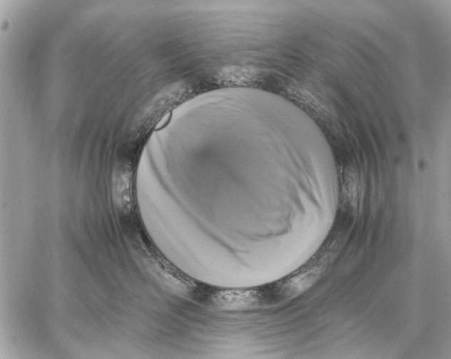 X0000059050526200510281610