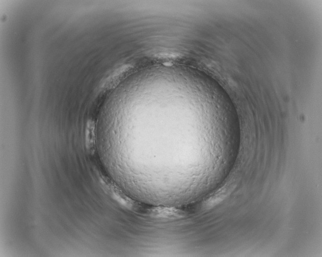 X0000059050528200510281610