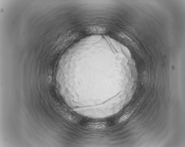 X0000059050553200510281610