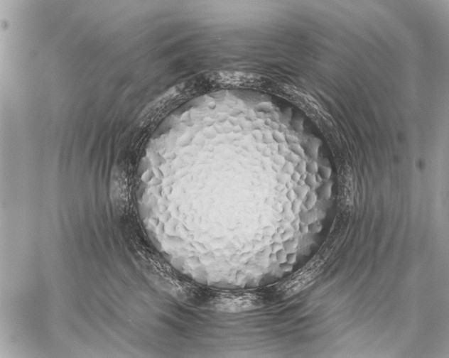 X0000059050569200510281610