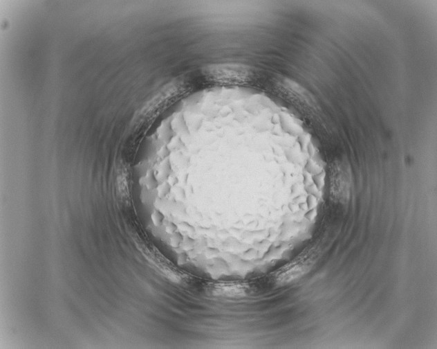 X0000059050573200510281610