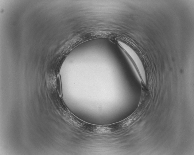 X0000059050617200510281609