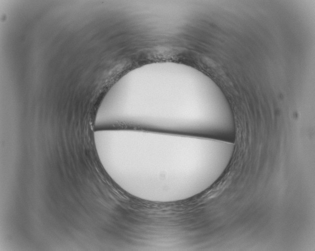 X0000059050624200510281609
