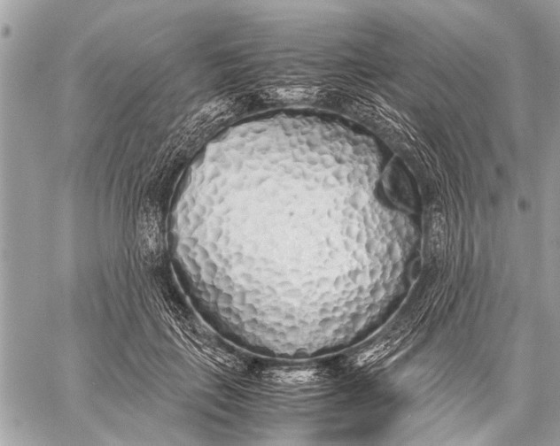 X0000059050651200510281608