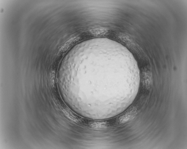 X0000059050664200510281609