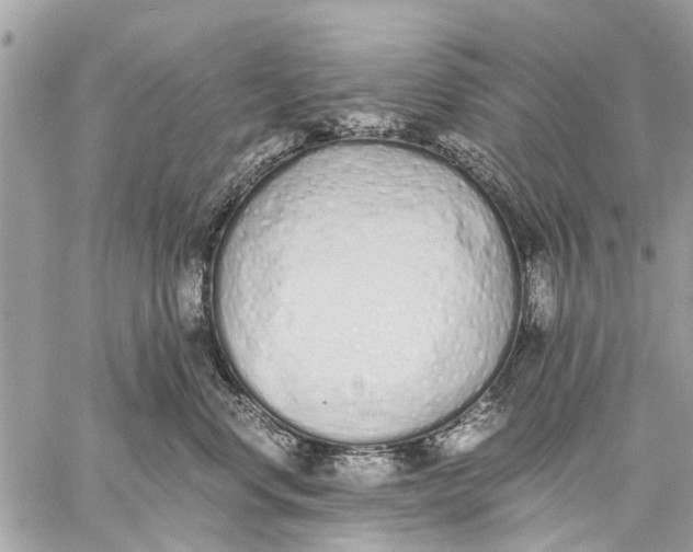 X0000059050668200510281609