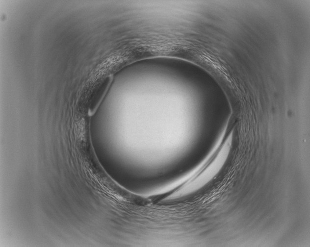 X0000059050689200510281608