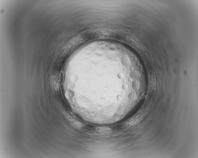 X0000059050719200510281607